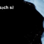 Roborock Saros Z70 - Quốc Tế